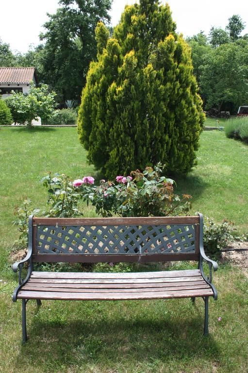 Apartment Borna Pazin Buitenkant foto