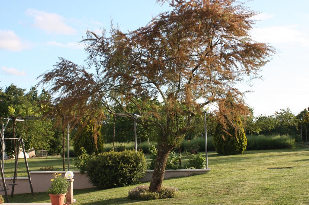 Apartment Borna Pazin Buitenkant foto